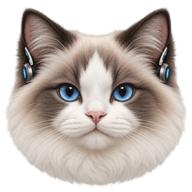 戴电子耳机的布偶猫头像